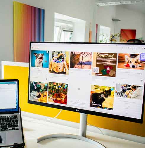 Professional Web Design Services Bristol UK